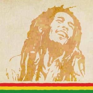 The Marley Experience 1865 OTHER MUSIC
