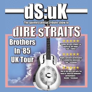 DS:UK...In Tribute To Dire Straits Birdwell Venue ROCK