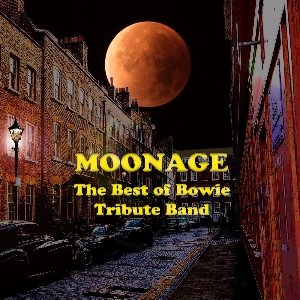 Moonage - David Bowie Tribute The Venue POP