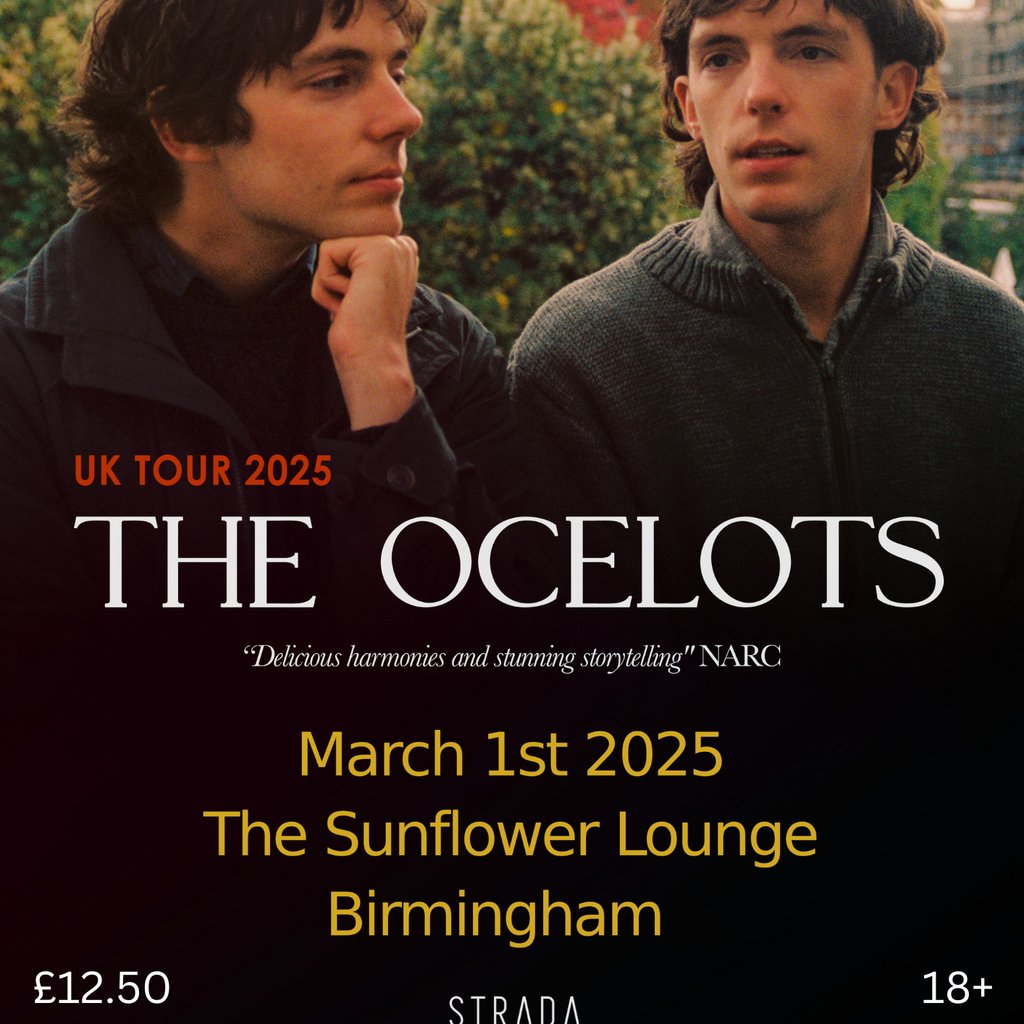 The Ocelots The Sunflower Lounge Birmingham