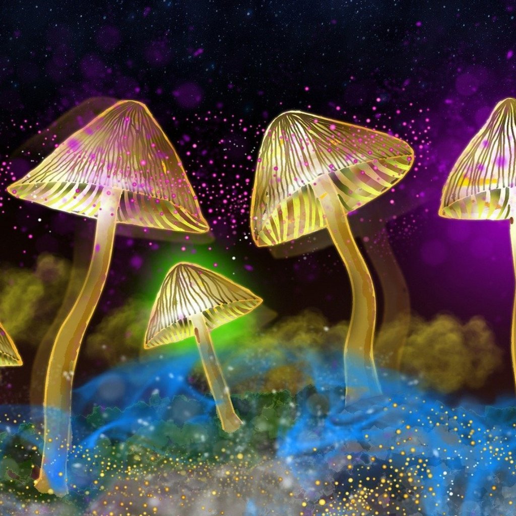 The Science of Magic Mushrooms with Dr Mourad Wahba Assembly Roxy Edinburgh