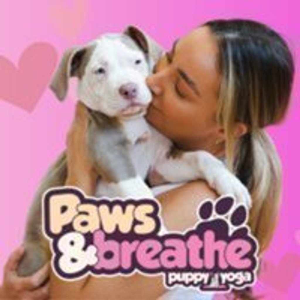 Puppy yoga Birmingham Selina Birmingham Birmingham