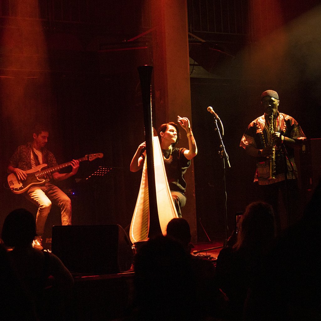 Alina Bzhezhinska HipHarpCollective: A Tribute To Alice Coltrane The MAC Belfast