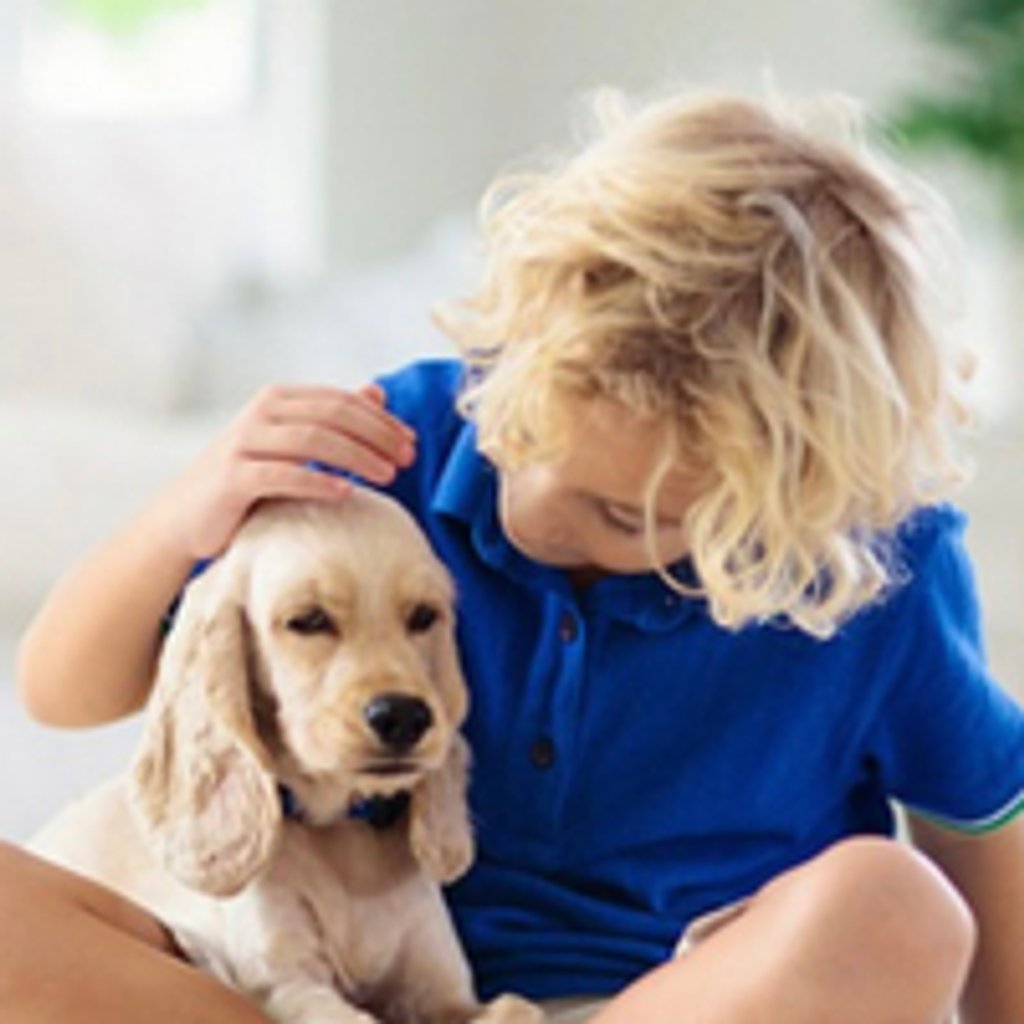 Snuggle pups  - Adults and Children The Snooty Pooch Solihull