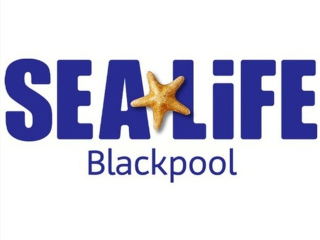 Sea Life Blackpool Standard Entry 91 Promenade Blackpool