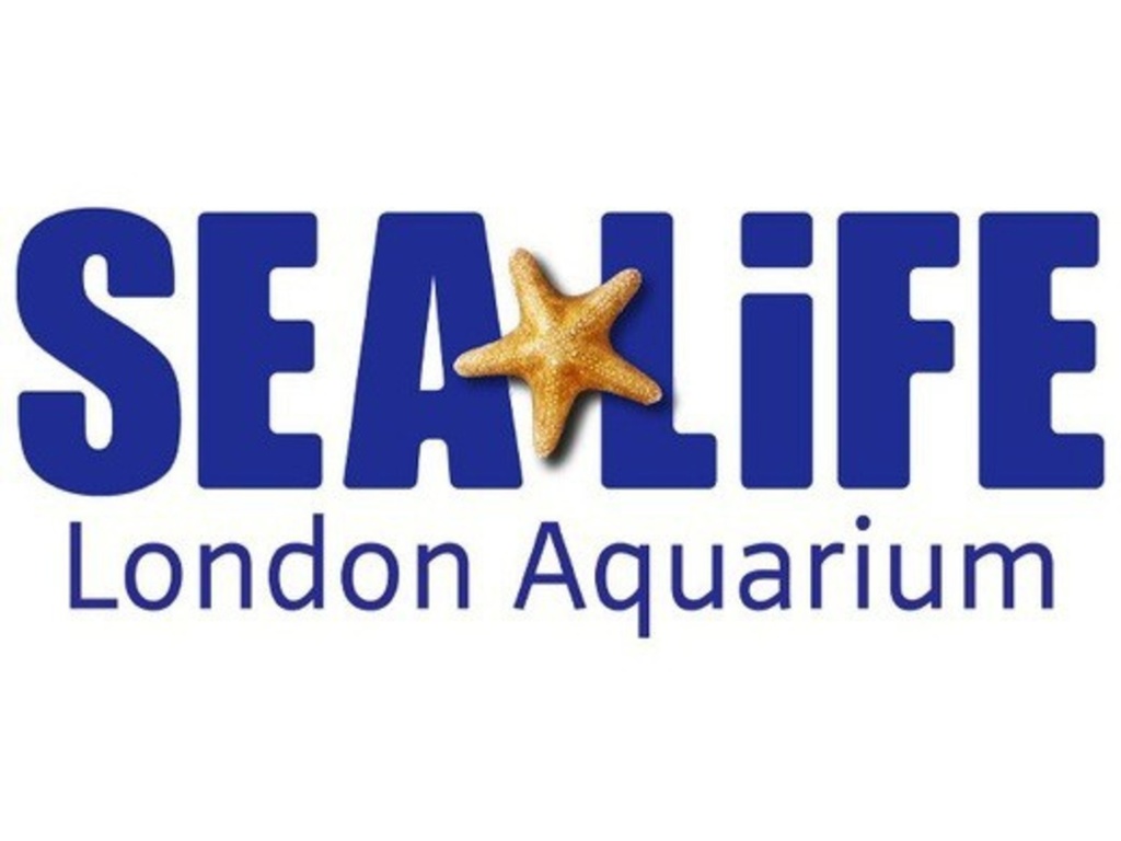 Sea Life London Standard Entry Sealife London Aquarium London