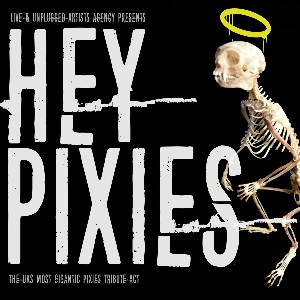 Hey Pixies The Citadel ROCK