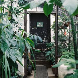 Summer Behind the Scenes Tour and Lunch Chelsea Physic Garden SPECIAL EVENTS