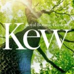 Temperate House Yoga - Evening Session RBG Kew SPECIAL EVENTS