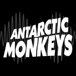 Antarctic Monkeys Parr Hall ROCK
