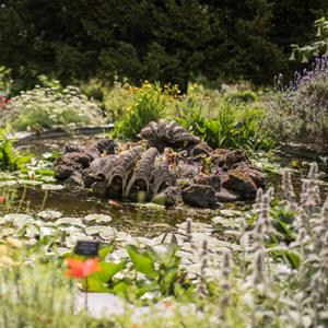 Chelsea Physic Garden - Flexitickets Chelsea Physic Garden SPECIAL EVENTS