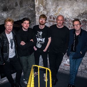Big Country Rescue Rooms POP