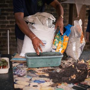 Know & Grow: Fall into Gardening Chelsea Physic Garden SPECIAL EVENTS