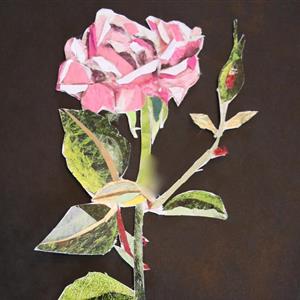 Nature Collage Workshop Chelsea Physic Garden SPECIAL EVENTS