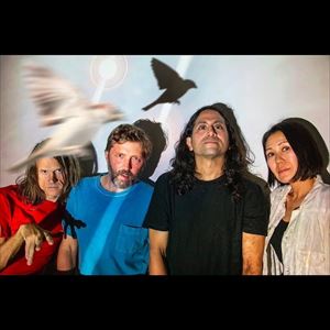 Deerhoof YES (The Pink Room) ROCK