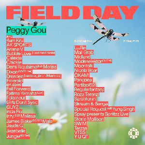 Field Day 2025 Brockwell Park