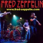Fred Zeppelin The Flowerpot ROCK