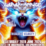 LaraPrice-PinkSerene-Solarnites-TriggeredVelocity The Brickmakers & B2 Venue ROCK