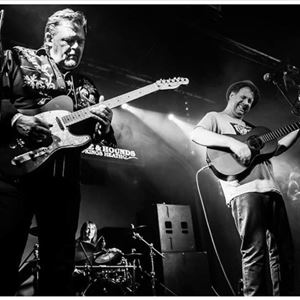 Martin Stephenson & the Daintees Bedford Esquires OTHER MUSIC
