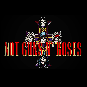Not Guns n Roses Alexander's Live ROCK