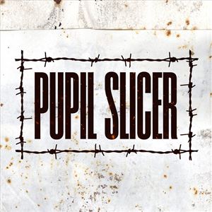 Pupil Slicer Clwb Ifor Bach ROCK