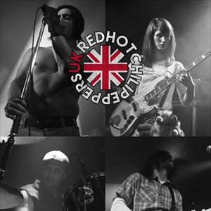 Red Hot Chili Peppers UK The Horn OTHER MUSIC