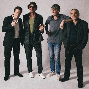 The Hard Quartet Gorilla ROCK
