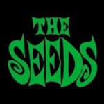 The Seeds KOKO OTHER MUSIC