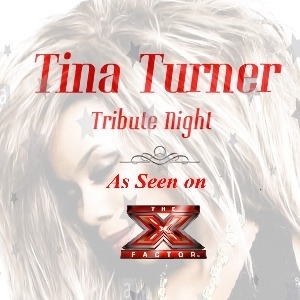 Tina Turner Tribute Night - Newcastle Under Lyme Newcastle Working Men's Club OTHER MUSIC