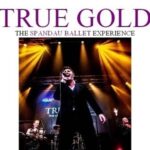 True Gold - The Spandau Ballet Experience The Flowerpot OTHER MUSIC