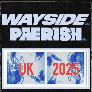 Wayside & Paerish The Asylum 2 ROCK