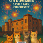 King Coel’s Kittens Firework Spectacular 2025 – Fireworks in Colchester at Castle Park