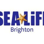 Sea Life Brighton Standard Admission Sea Life Brighton Standard Admission Sea Life Centre Brighton