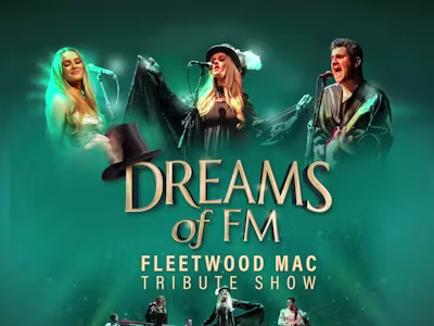 Dreams of Fleetwood Mac
