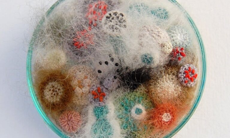 Katz Mulk + Germ Lattice + More!
