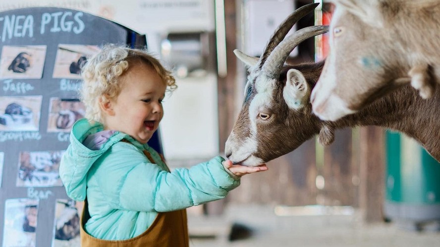 Easton Farm Park