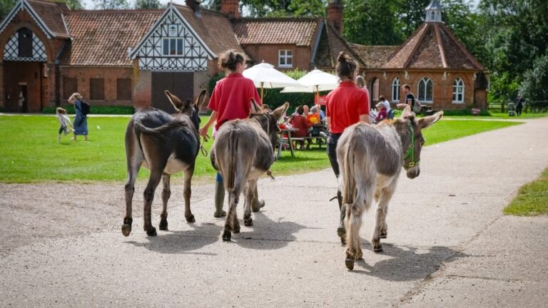 Easton Farm Park