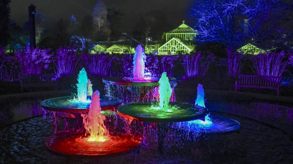 Cambridge Botanic Lights 2026