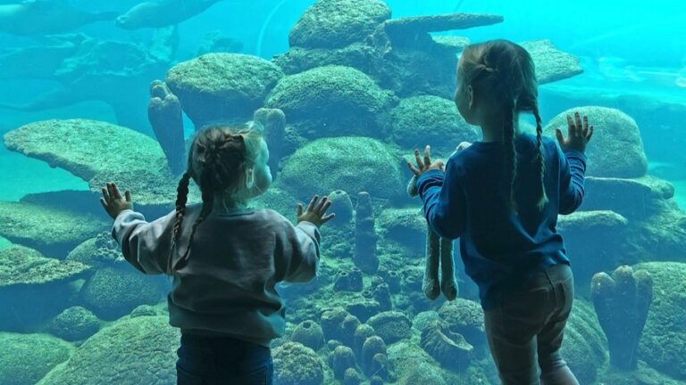 Colchester Zoo