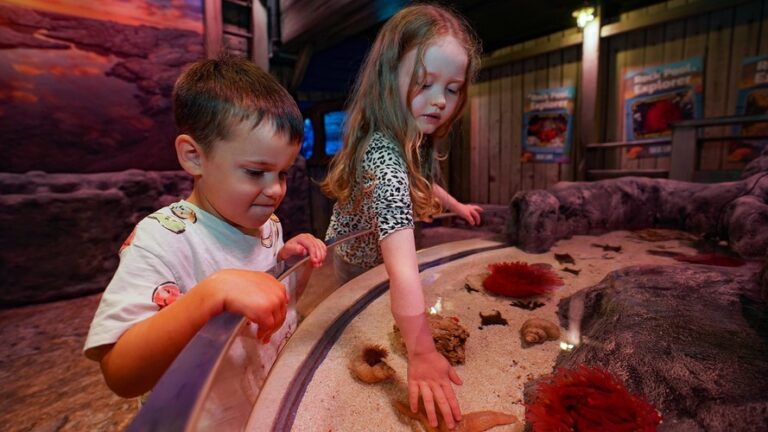 SEA LIFE Great Yarmouth