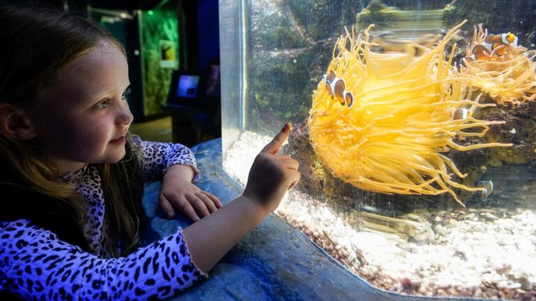 SEA LIFE Great Yarmouth