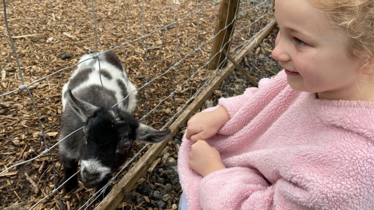 Cherry Tree Farm