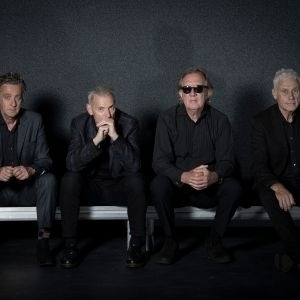Dr. Feelgood
