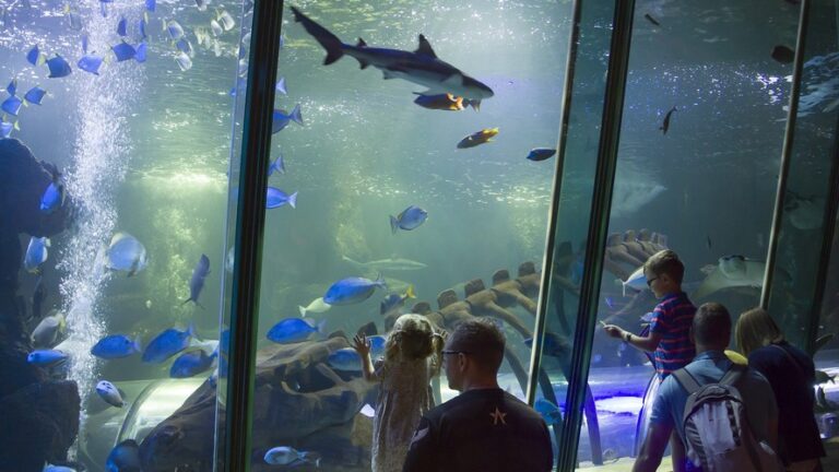 SEA LIFE Hunstanton