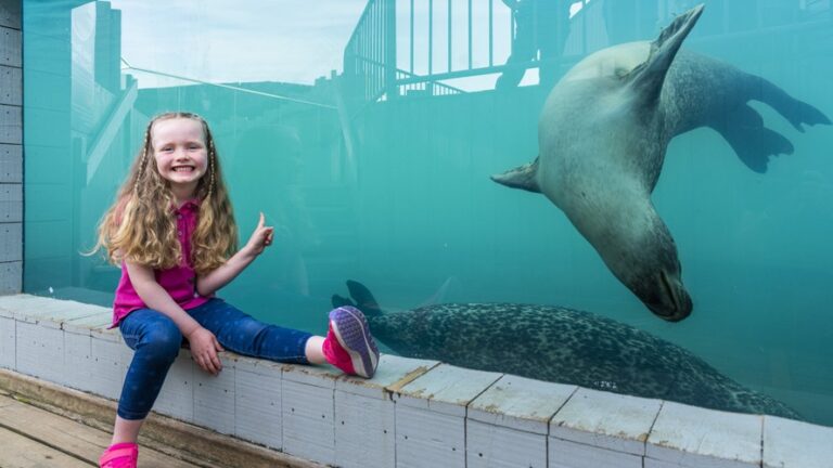 SEA LIFE Hunstanton