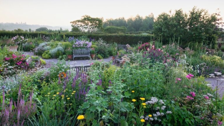  RHS Garden Hyde Hall – Gardens