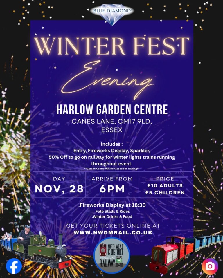 Winter Fest