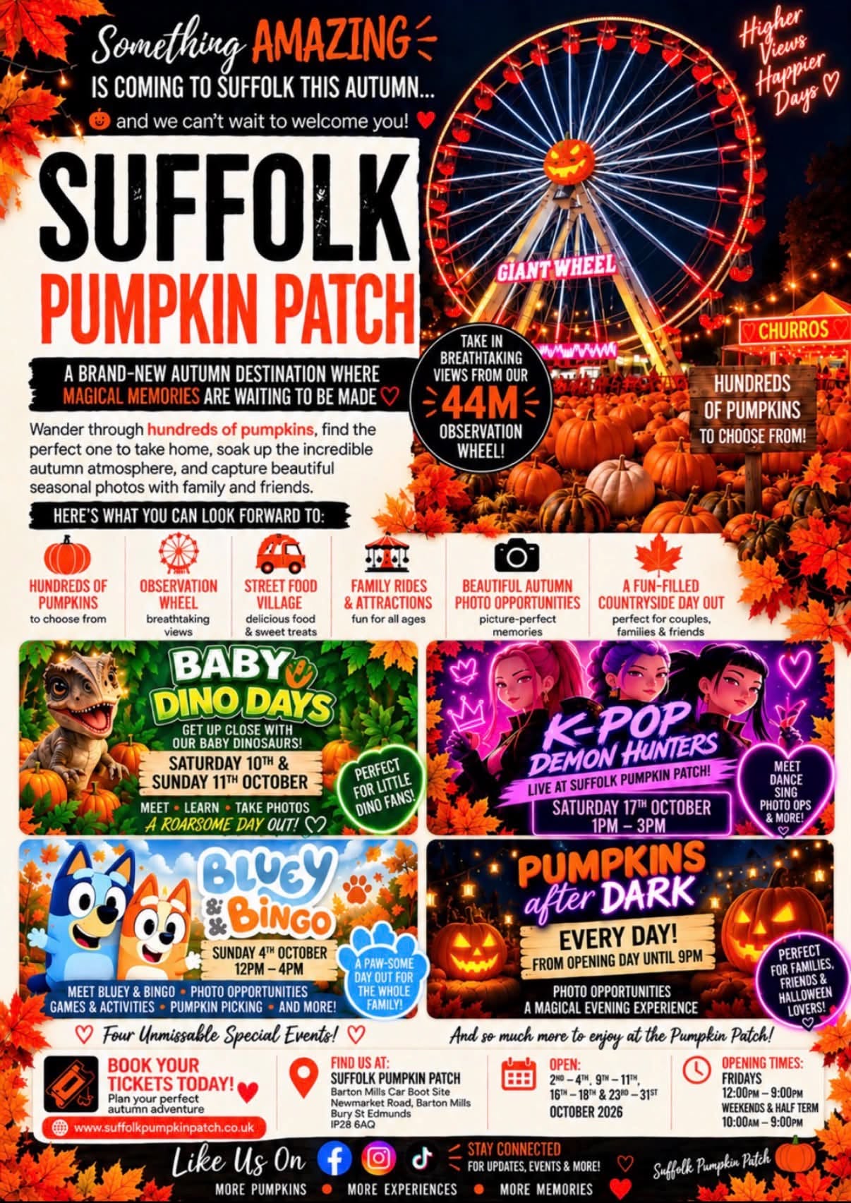Suffolk Pumpkin Patch