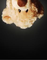 Teddy Bear’s Concert
