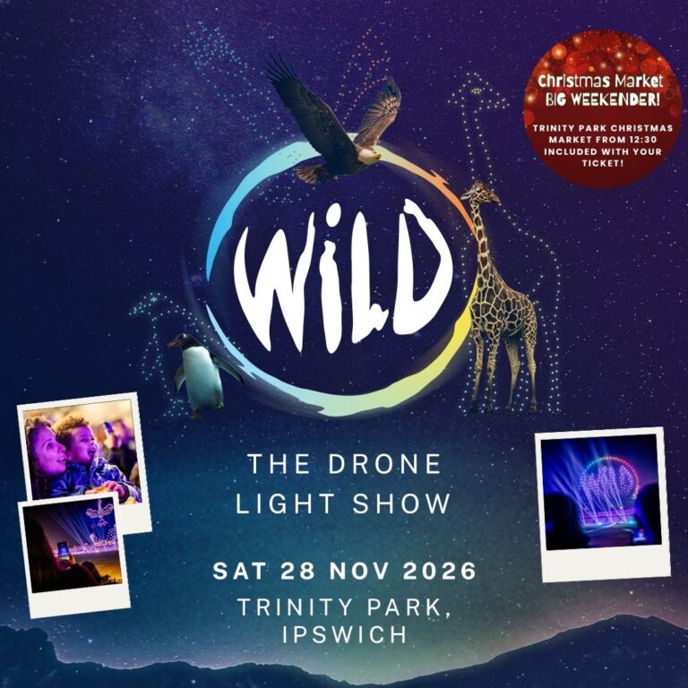 A vibrant display of drones lighting up the night sky at the WILD THE DRONE LIGHT SHOW.